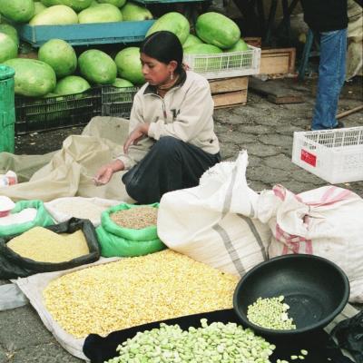 Northern Ecuador 003