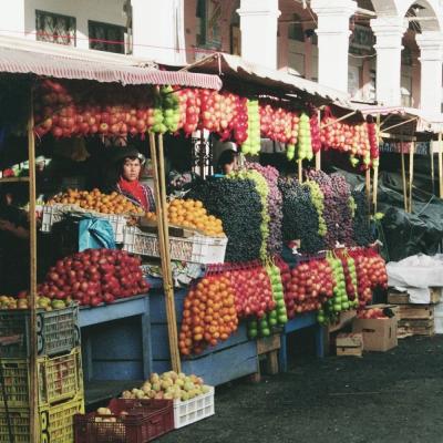 Northern Ecuador 004