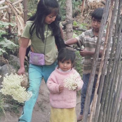 Northern Ecuador 020