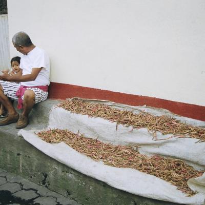 Guat Mex All 04